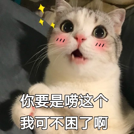 一只大眼萌猫表情包